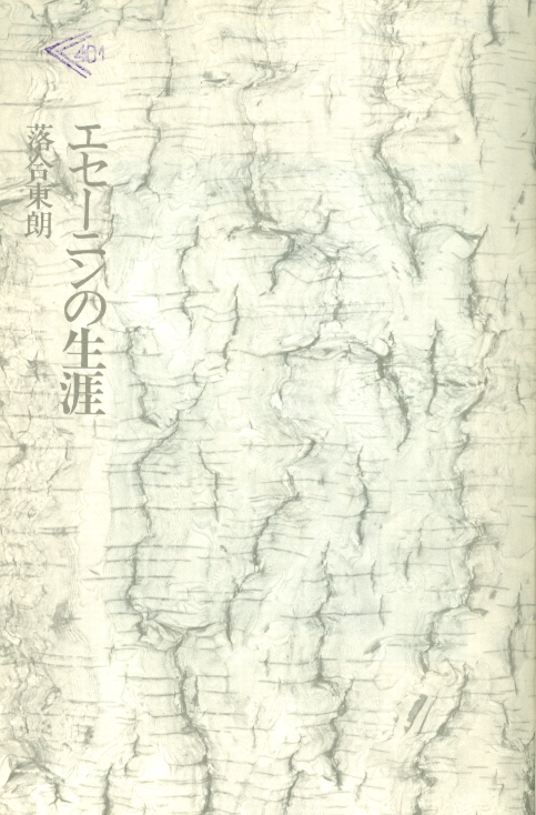 Значок книги